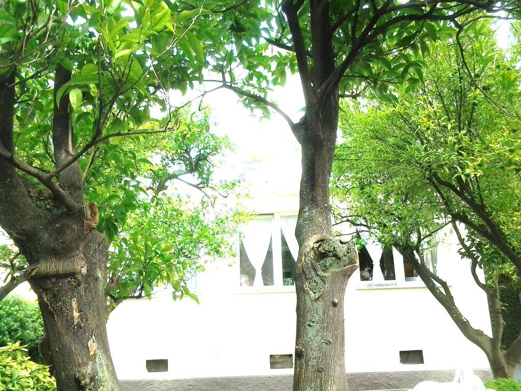 Hotel Piccolo Eden ネルヴィ エクステリア 写真